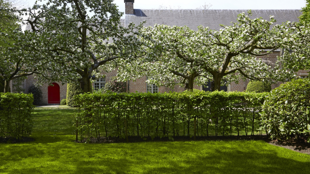 Jan Joris Tuinarchitectuur.jpg