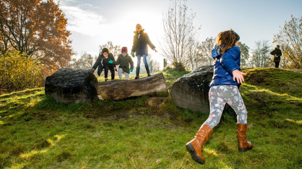 Spelende kinderen in het groen.jpg