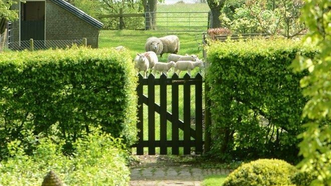 doorzicht landschap.jpg