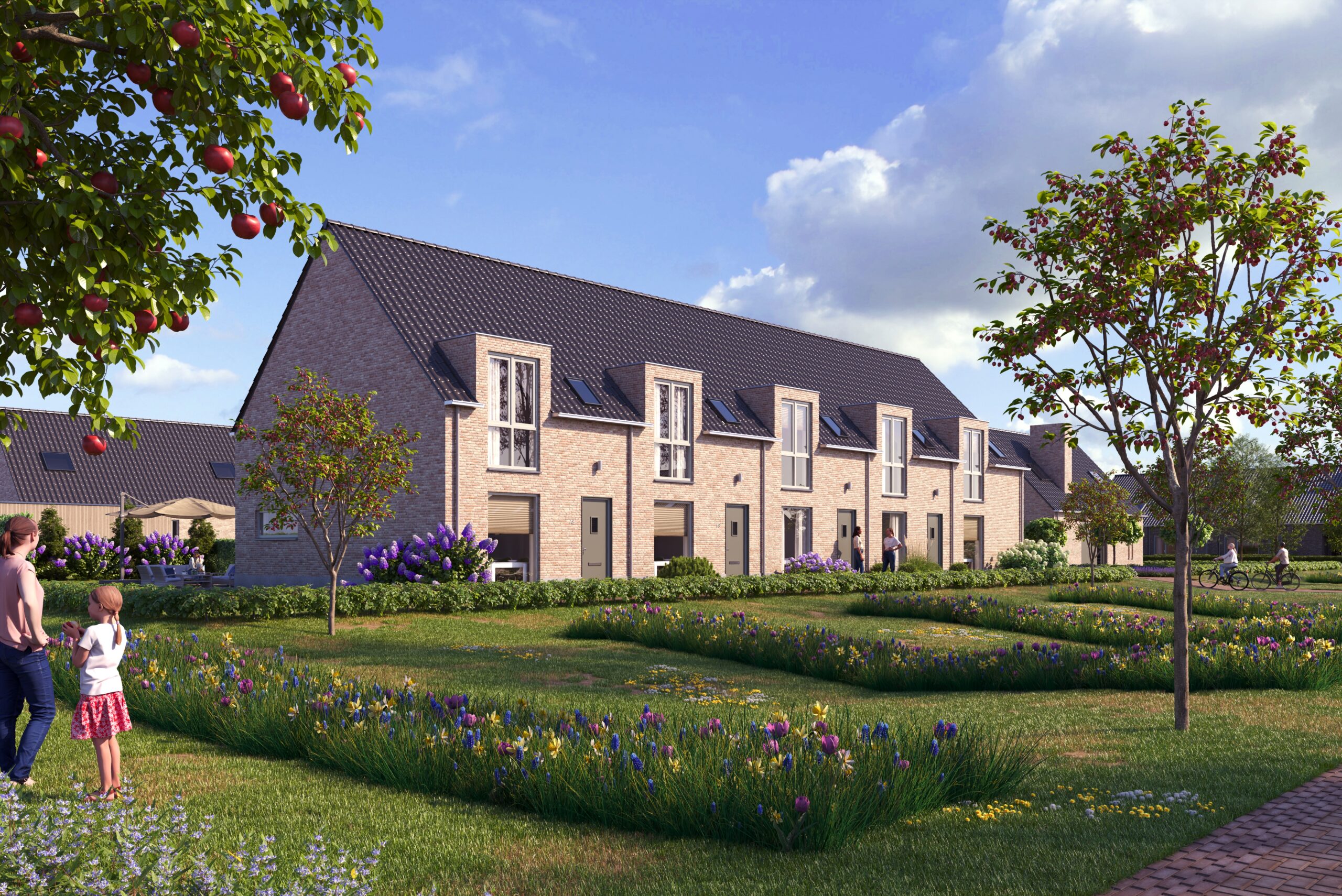 20241219 - A12 - A8 - rijwoningen_v1_v3